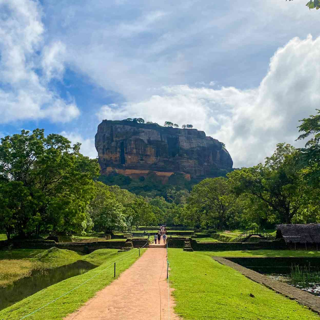 Your Tabrabae Diaries sri lankan tourismwebsite and tour guide peradeniya (1)