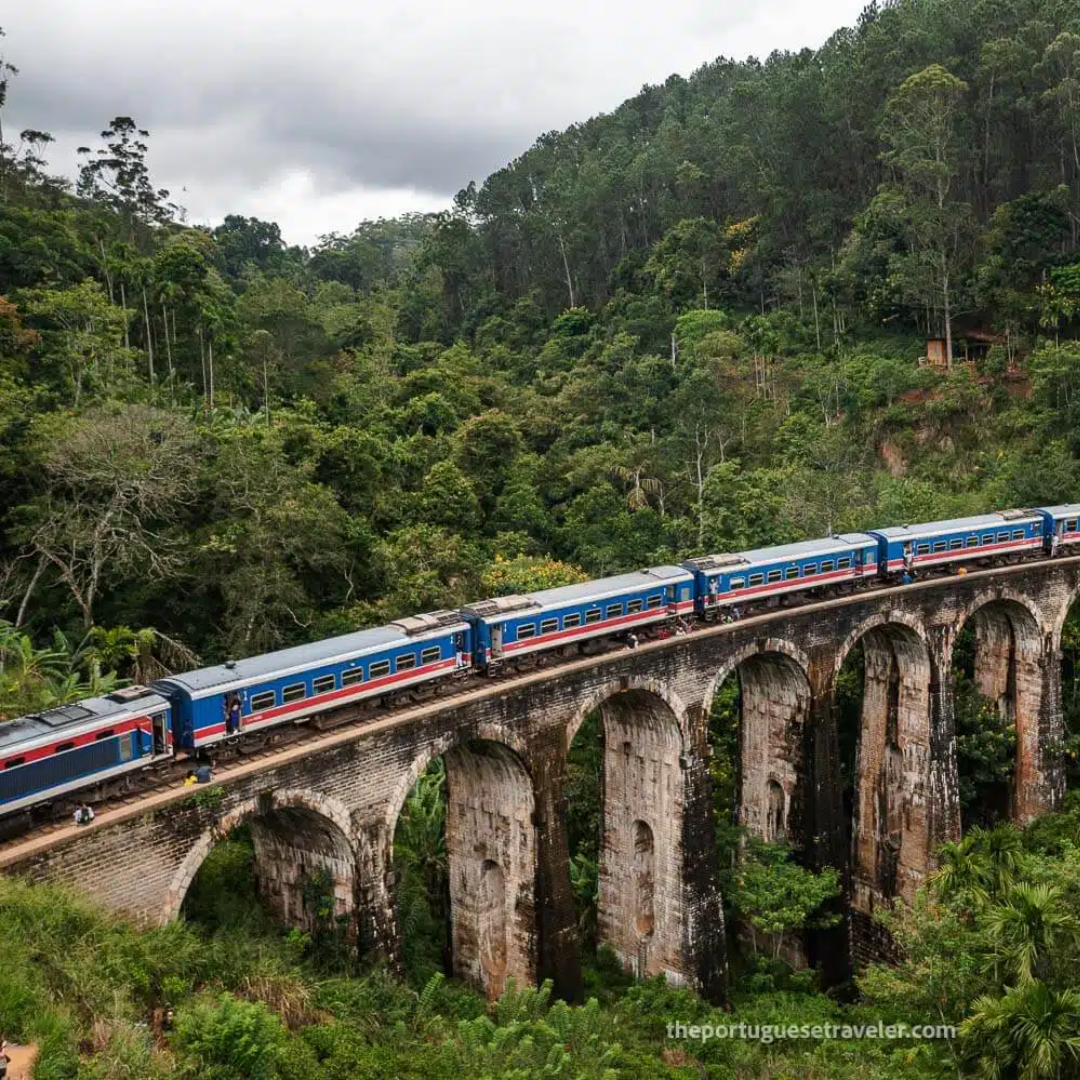 Your Tabrabae Diaries sri lankan tourismwebsite and tour guide peradeniya (3)
