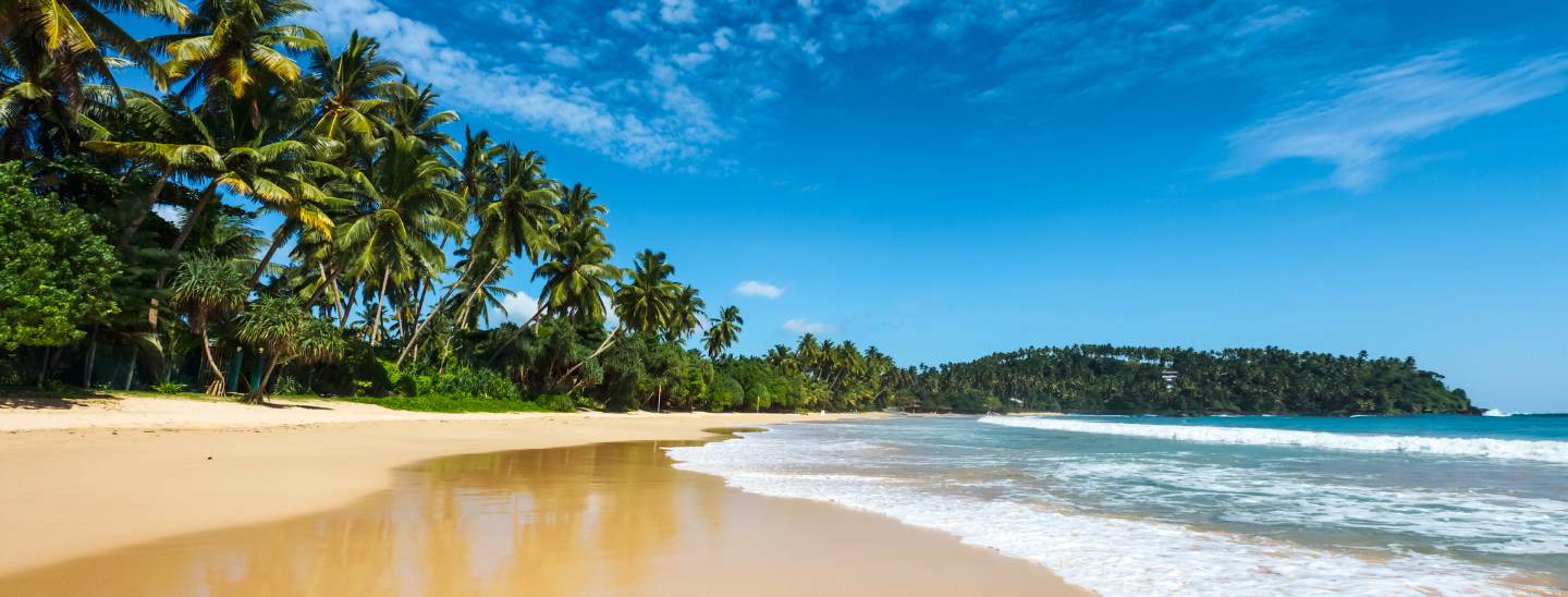 Your Tabrabae Diaries sri lankan tourismwebsite and tour guide peradeniya (7)