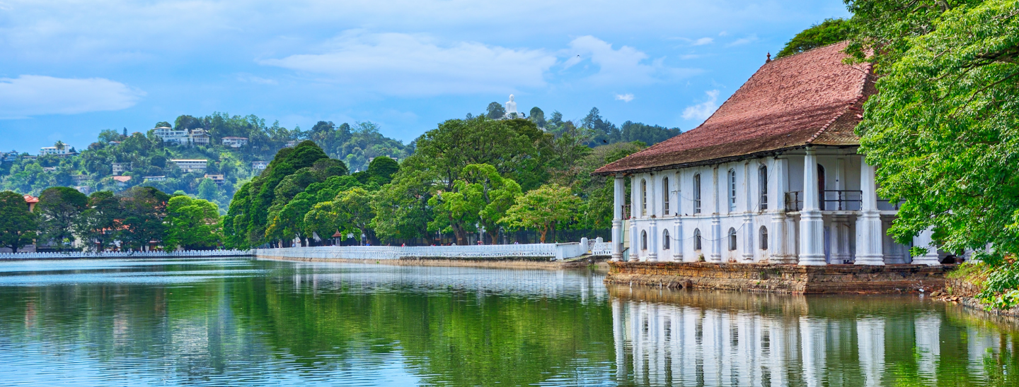 Your Tabrabae Diaries sri lankan tourismwebsite and tour guide peradeniya (8)